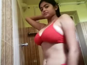 Muchacha India atractiva del Collage